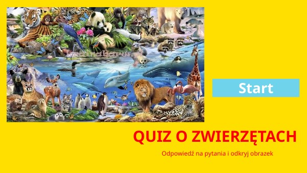 Quizy Dla Dzieci O Zwierzętach