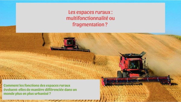 Les espaces ruraux : fragmentation ou multifonctionnalité