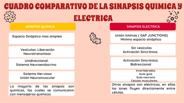 Cuadro comparativO