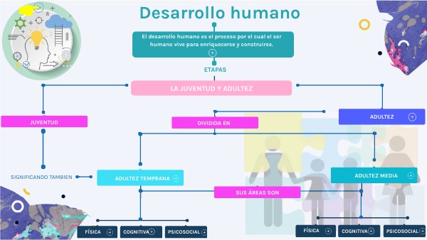 Desarrollo humano: La juventud y adultez, características clave