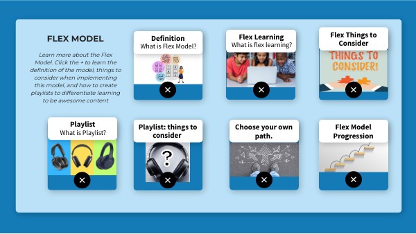 Blended Learning Flex Model