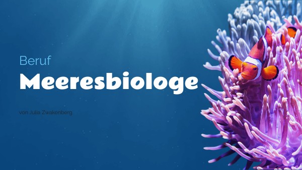Wie Viel Verdient Man Als Meeresbiologe Meeresbiologie