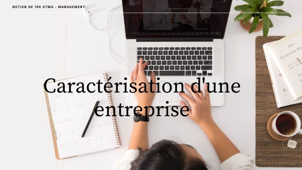 Caractérisation d'une entreprise