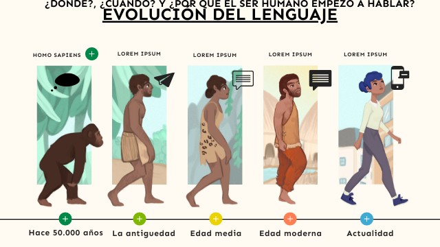ETAPAS DE EVOLUCIÓN HUMANA