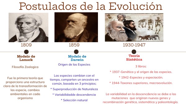 postulados evolución Juan Covarrubias