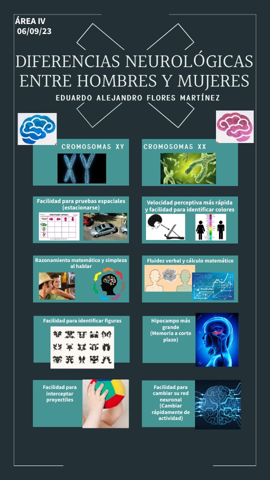 Diferencias neurológicas entre hombres y mujeres Flores Martínez