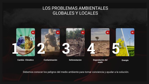 PROBLEMAS AMBIENTALES GLOBALES Y LOCALES