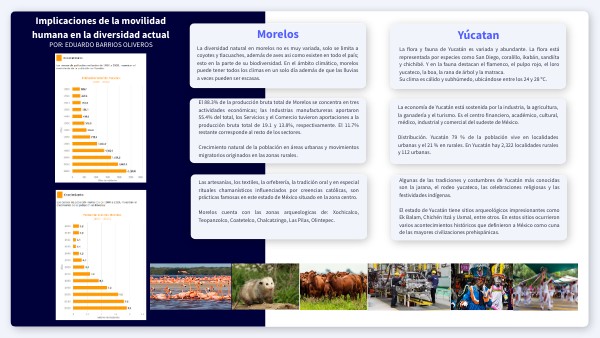 Implicaciones de la movilidad humana en la diversidad actual