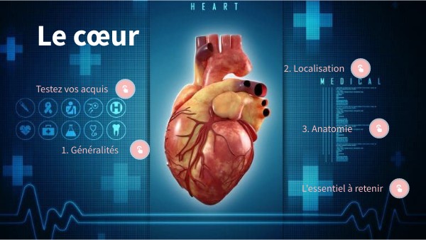 EP1 Anatomie du cœur v2