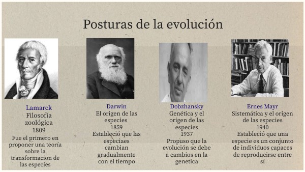 posturas de la evolución