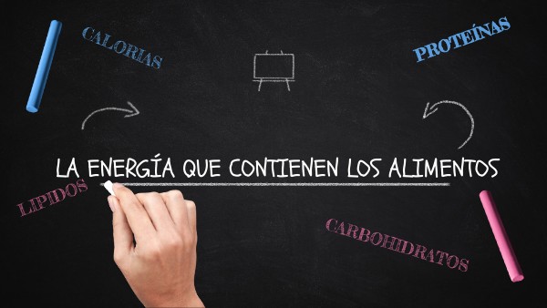 LA ENERGÍA QUE CONTIENE LOS ALIMENTOS