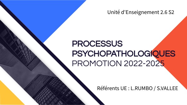 PRESENTATION UE 2.6 S2