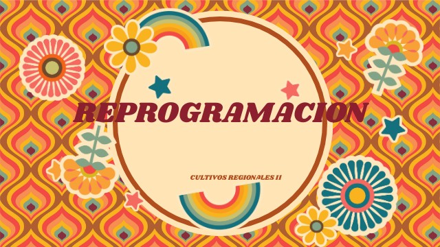 REPROGRAMACIÓN