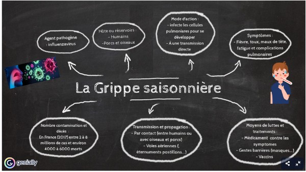Correction carte mentale (Grippe et SIDA)