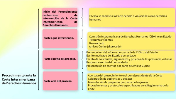 Procedimiento ante la Corte Interamericana de Derechos Humanos