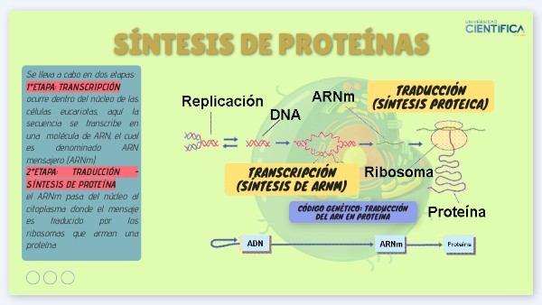 Síntesis de proteínas