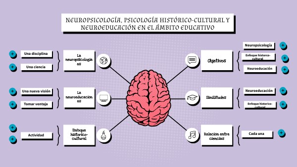 Los Aportes De La Neuropsicología Al ámbito Educativo