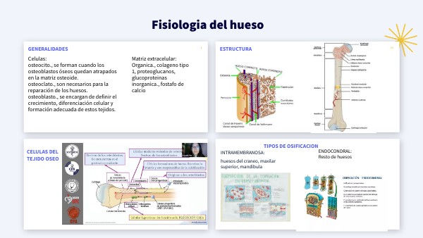 FISIOLOGIA DEL HUESO