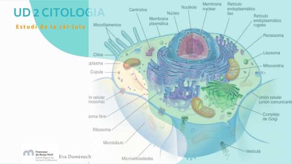 UD2 Citologia (Part 1)