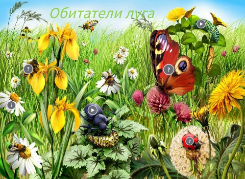 Interactive image