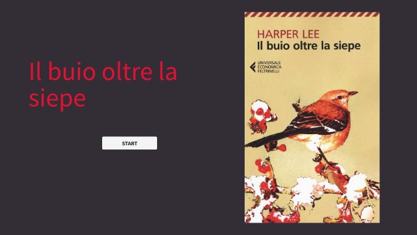 Riassunto Libro Il Buio Oltre La Siepe
