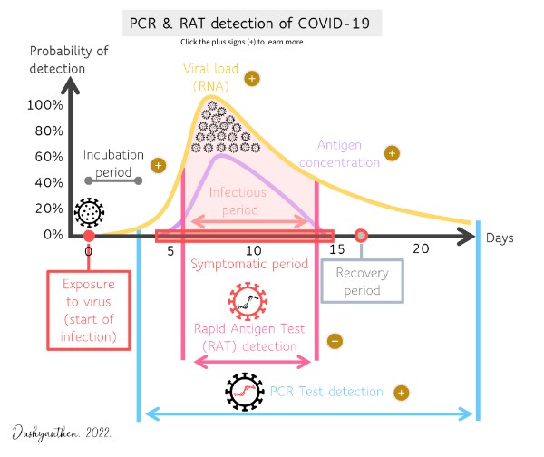 PCR vs RAT testing