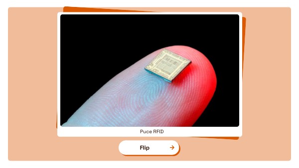 IMAGE FLASHCARD