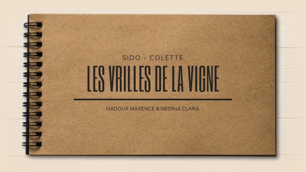 Les Vrilles de la Vigne