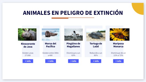 Animales en peligros de extinción