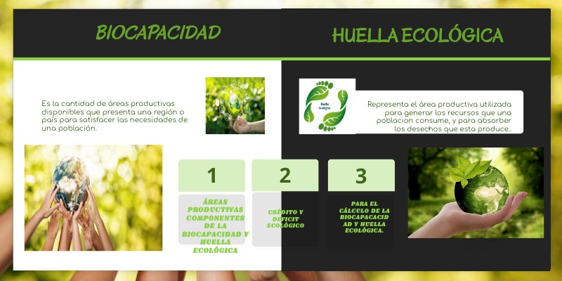 INFOGRAFIA HUELLA ECOLOGICA/BIOCAPACIDAD