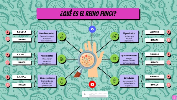 MAPA MENTAL REINO FUNGI