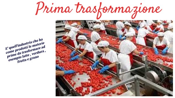 Industria alimentare