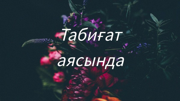 Табиғат аясында