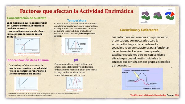 Factores que afecta la actividad Enzimática