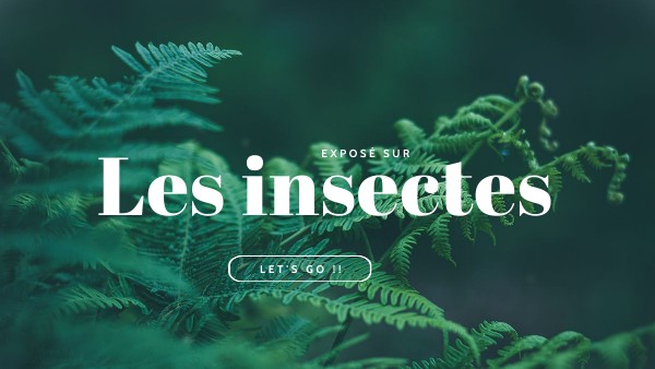 exposé insectes