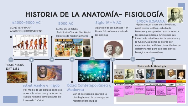 LINEA TIEMPO ANATOMIA Y FISIOLOGIA DANIEL VÁSQUEZ CASTILLO