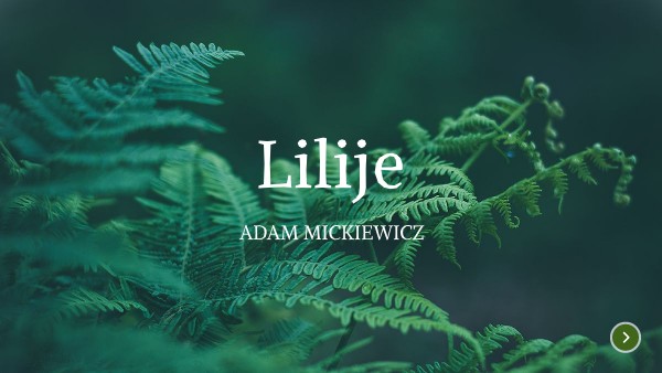 O Czym Opowiada Ballada Lilije LILIJE