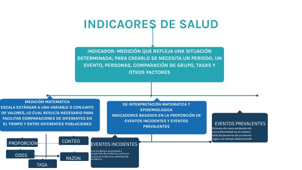 INDICADORES DE SALUD
