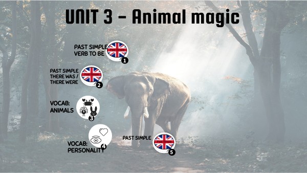 Sprawdzian Z Angielskiego Klasa 7 Unit 3 Animal Magic