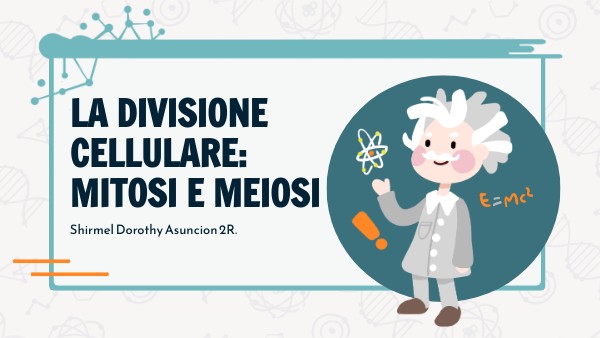 LA DIVISIONE CELLULARE.