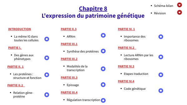 Première spé _ Chapitre 8_ Expression du patrimoine génétique