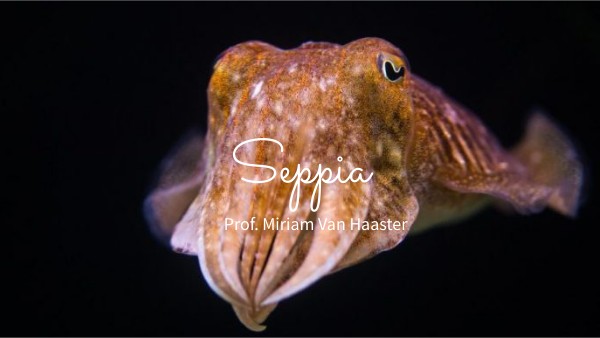 seppia