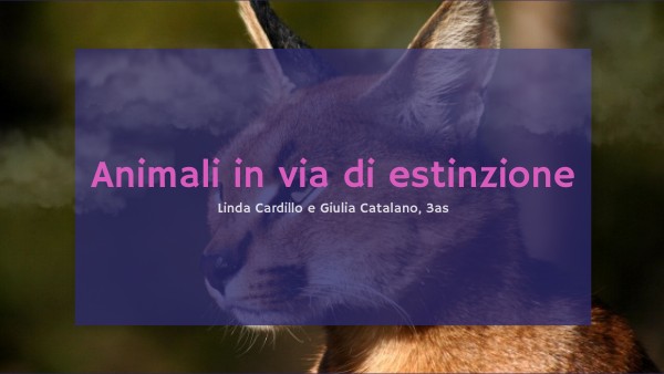 animali in via di estinzione