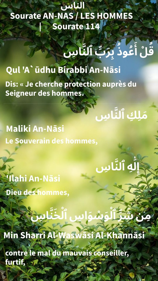 Sourate Nouh Phonétique – Liste Des Sourates Phonétique – YINSBK