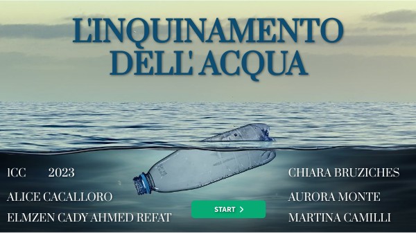 L'INQUINAMENTO DELL'ACQUA