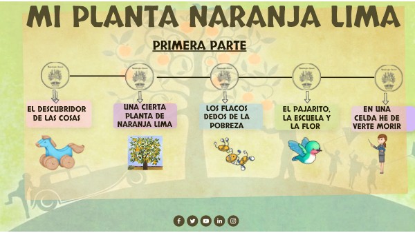 MI PLANTA NARANJA LIMA