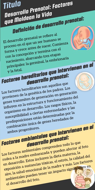 Infografia Desarrollo prenatal