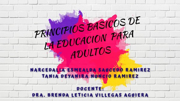 PRINCIPIOS BASICOS DE LA EDUCACION PARA ADULTOS