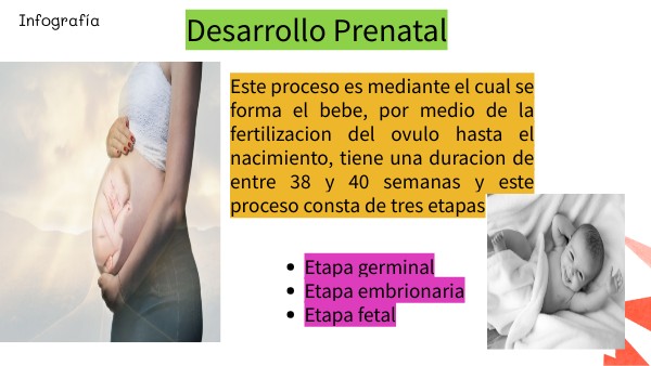 infografia desarrollo prenatal