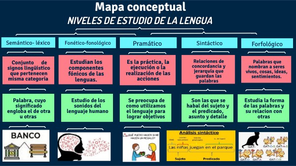 MAPA CONCEPTUAL NIVELES DE ESTUDIO DE LA LENGUA